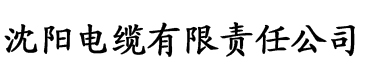 国产性av在线电缆厂logo